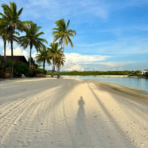 Meet your Posher, Katalin - Picture 3 of 5